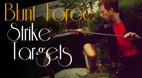 Blunt Force Strike Targets