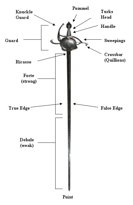 Anatomy of the Rapier